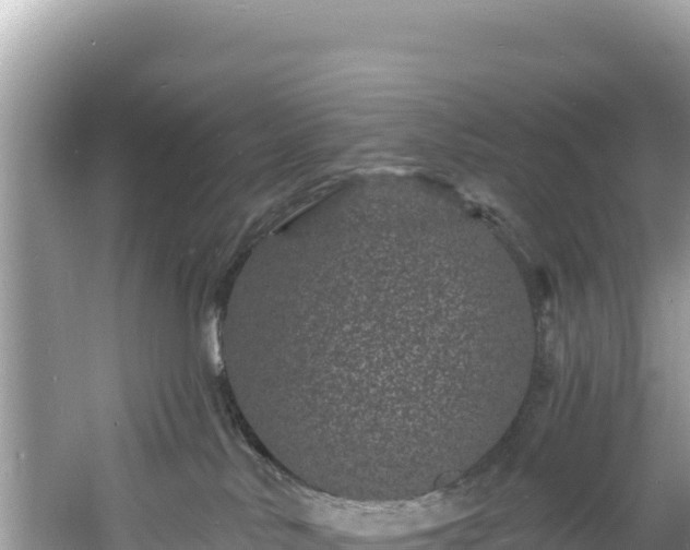 X0000060790042200511141455