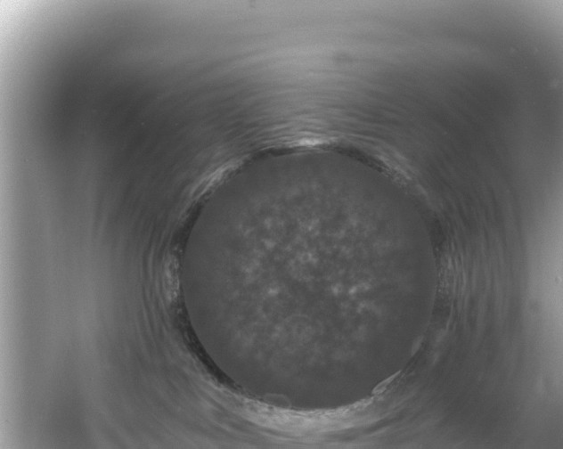 X0000060790043200511141455