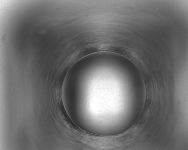 X0000060790044200511141455