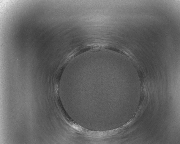 X0000060790045200511141455