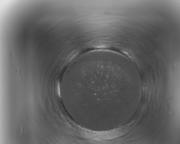 X0000060790046200511141455