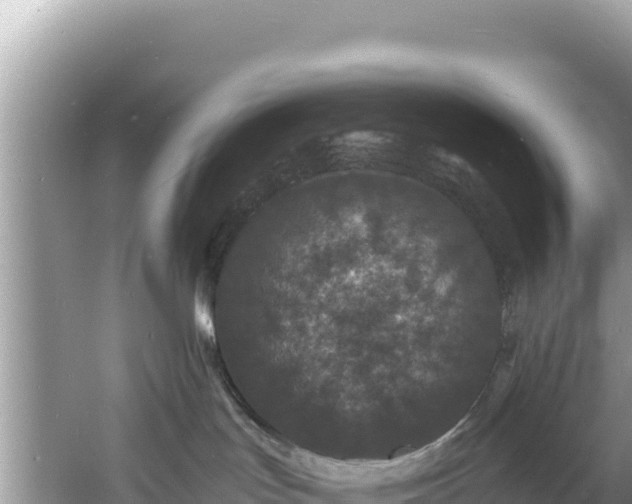 X0000060790047200511141455