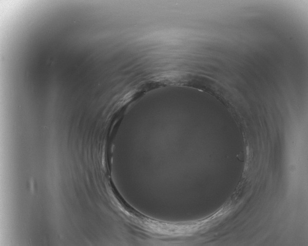 X0000060790048200511141455