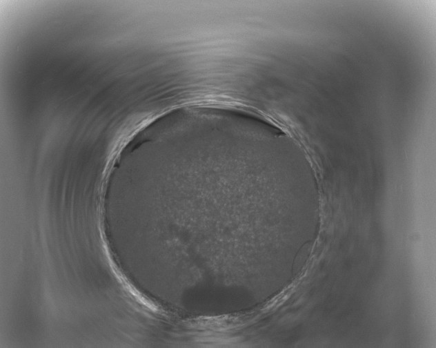 X0000060790049200511141454