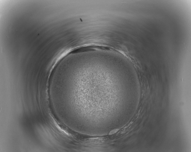 X0000060790050200511141454