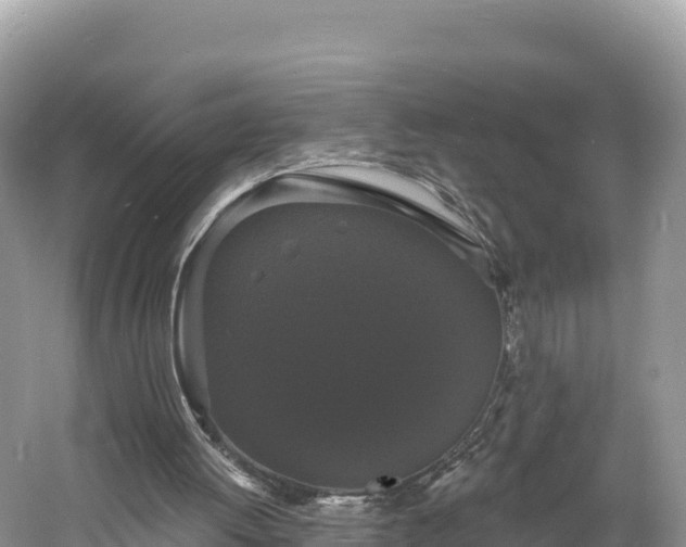 X0000060790052200511141454