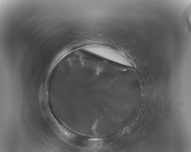 X0000060790053200511141454