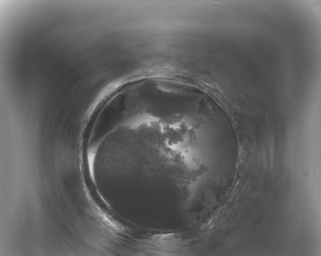 X0000060790054200511141454