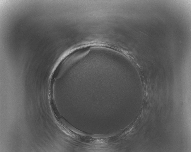 X0000060790056200511141454