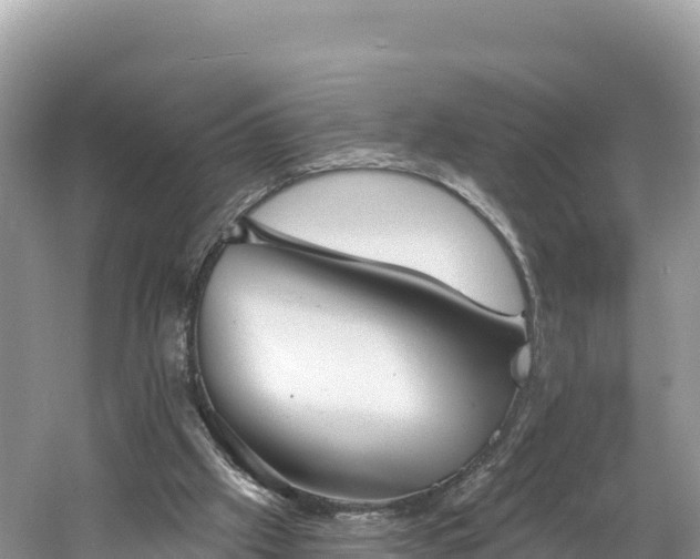 X0000060790057200511141454