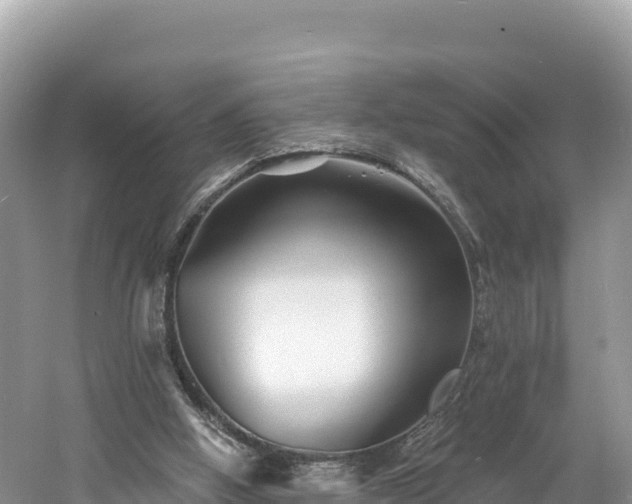 X0000060790058200511141454