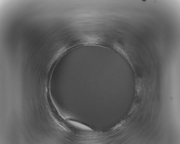 X0000060790059200511141454