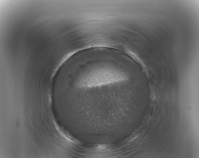 X0000060790060200511141454