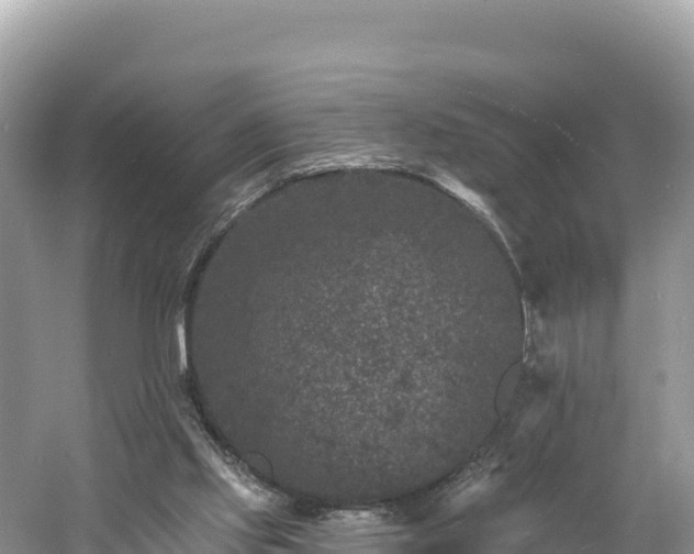 X0000060790061200511141454