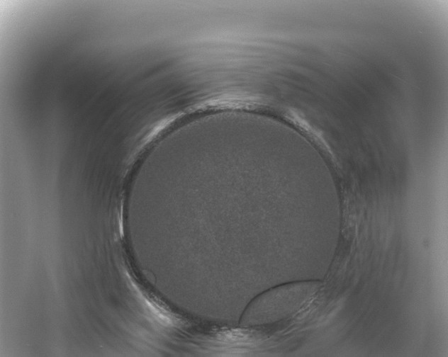 X0000060790062200511141454