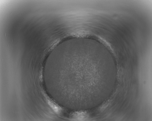 X0000060790065200511141454