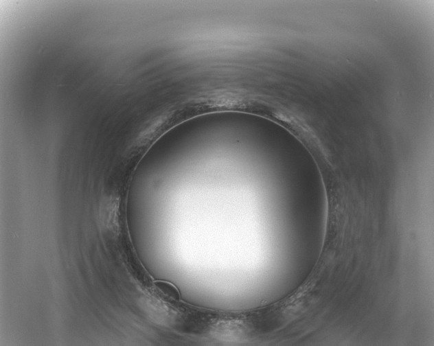 X0000060790066200511141454