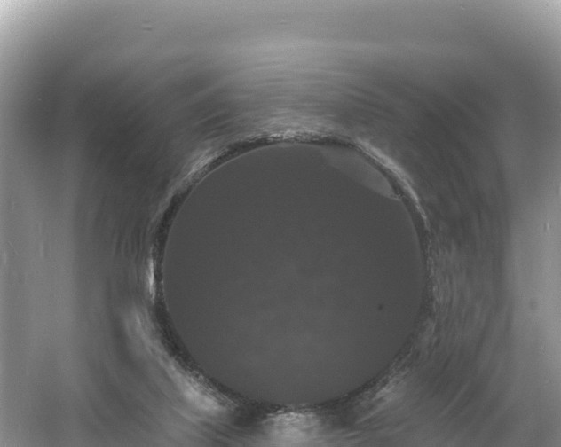 X0000060790067200511141454