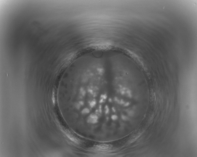 X0000060790069200511141455