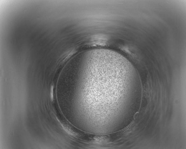 X0000060790070200511141455