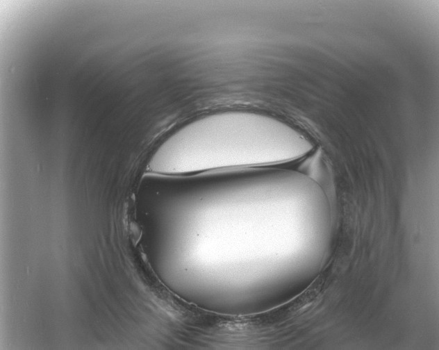 X0000060790071200511141455