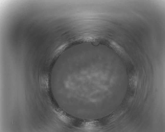 X0000060790072200511141455