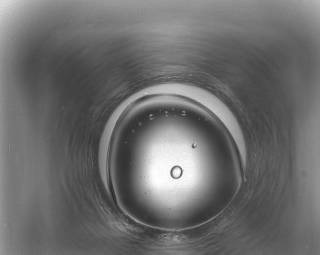 X0000060790073200511141455