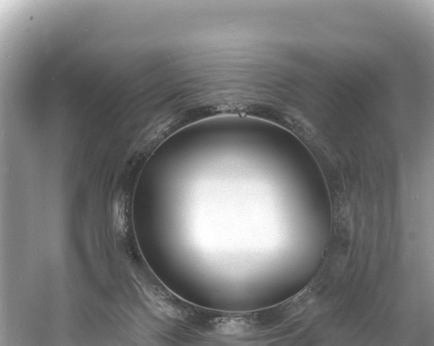 X0000060790074200511141455