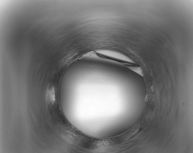 X0000060790075200511141455