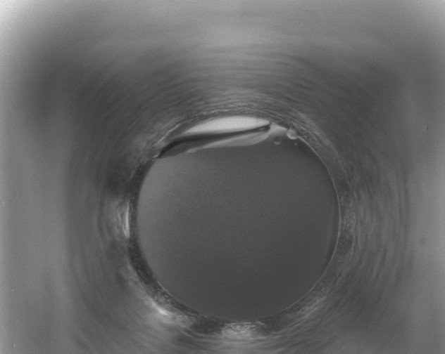 X0000060790076200511141455