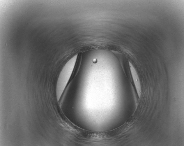 X0000060790077200511141455