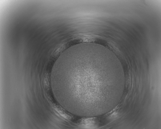 X0000060790078200511141455