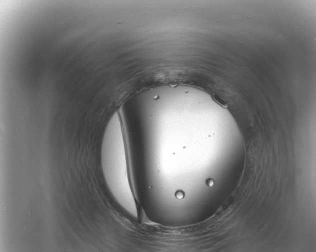 X0000060790079200511141455