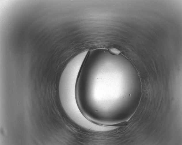 X0000060790080200511141455