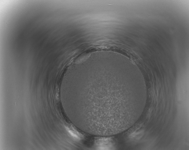 X0000060790081200511141455