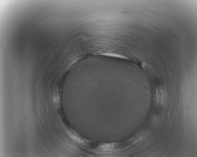 X0000060790084200511141455