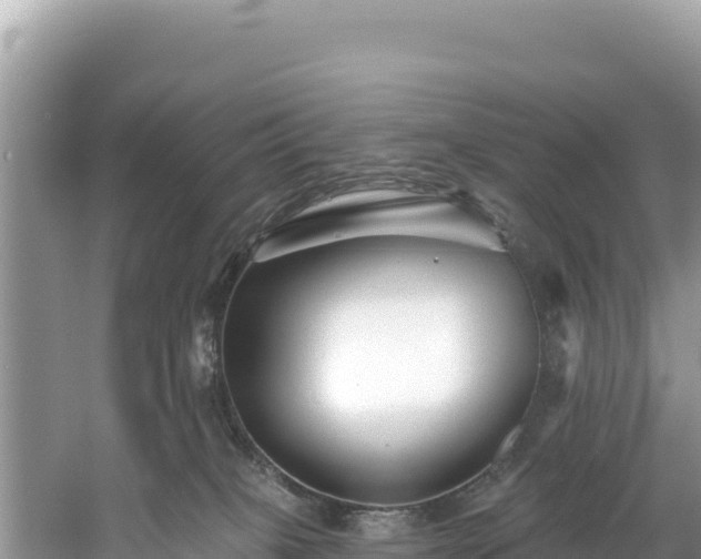 X0000060790085200511141455