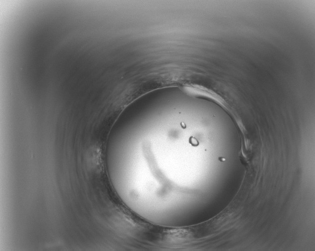 X0000060790087200511141455