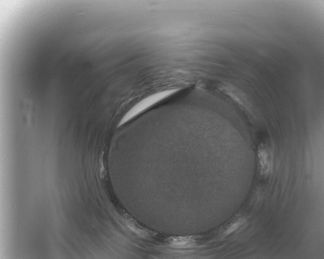 X0000060790088200511141455