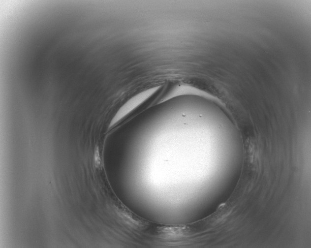 X0000060790089200511141455