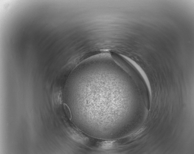 X0000060790090200511141455