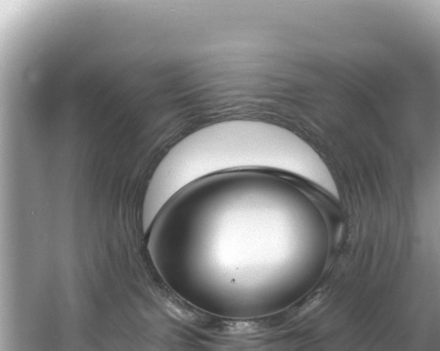 X0000060790091200511141455