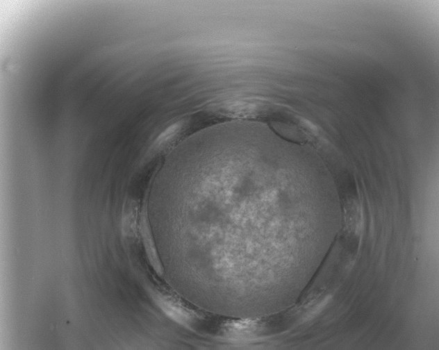 X0000060790092200511141455