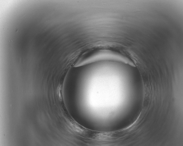 X0000060790094200511141455