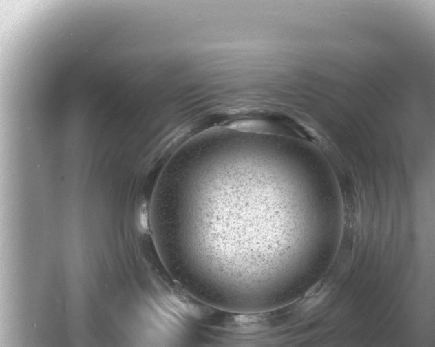 X0000060790095200511141455