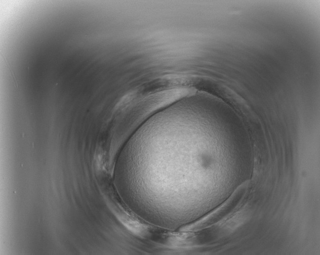 X0000060790096200511141455