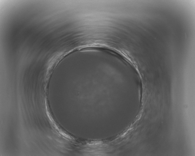 X0000060790097200511141454