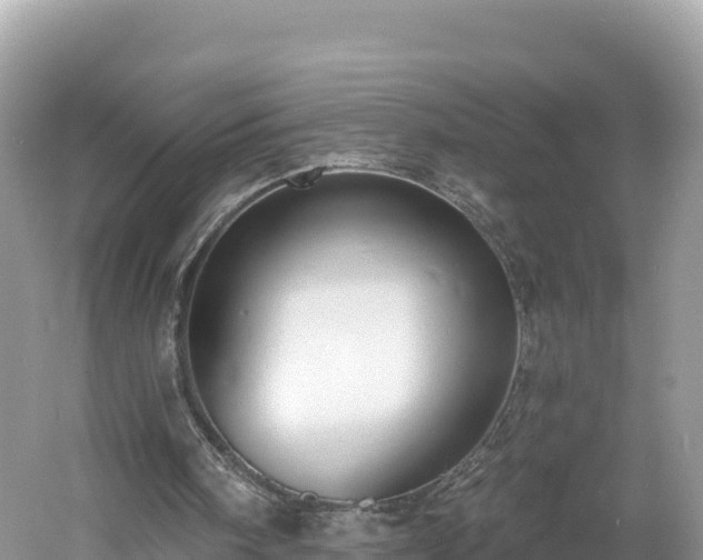 X0000060790098200511141454