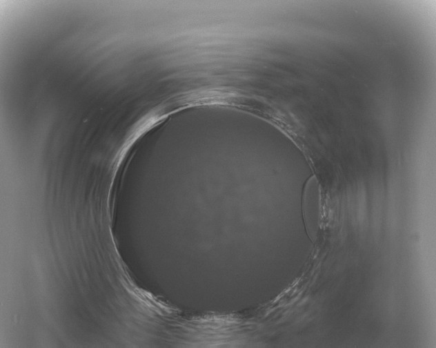 X0000060790099200511141454