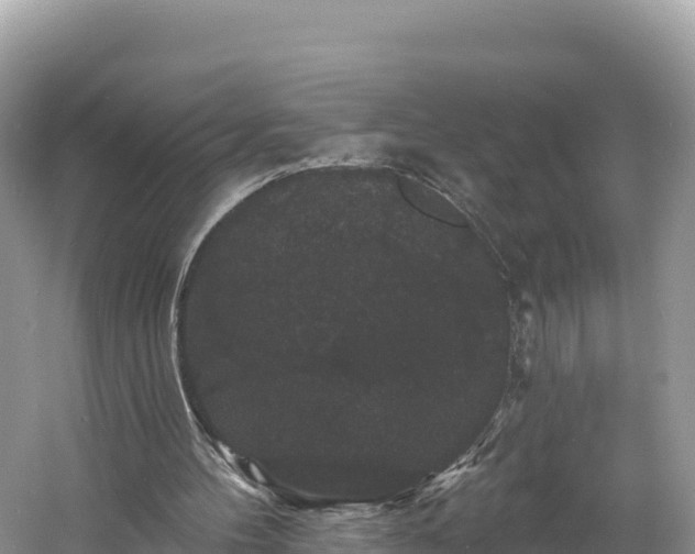 X0000060790100200511141454